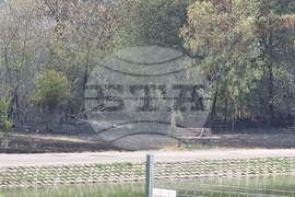 Пловдив - Пожар на Гребната база