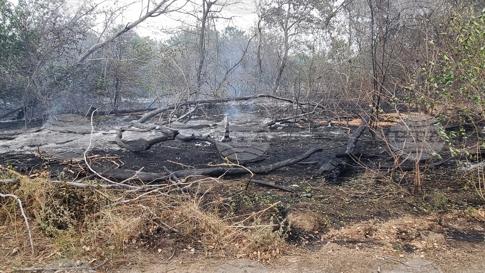 Пловдив - Пожар на Гребната база