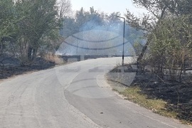 Пловдив - Пожар на Гребната база