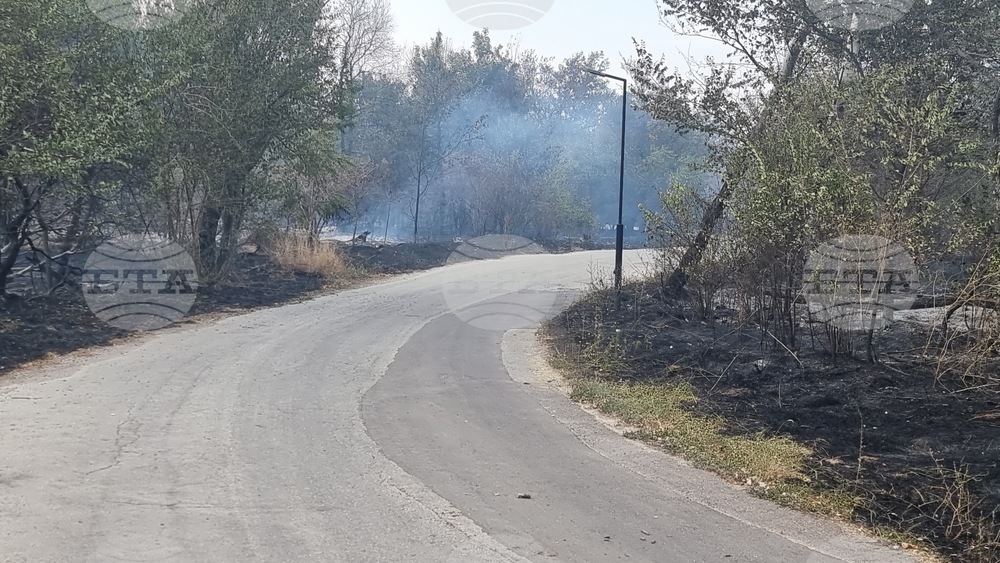 Пловдив - Пожар на Гребната база