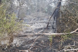 Пловдив - Пожар на Гребната база
