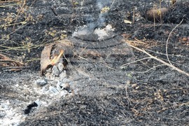 Пловдив - Пожар на Гребната база