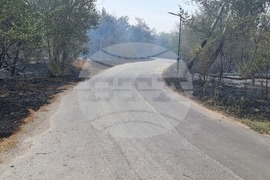 Пловдив - Пожар на Гребната база