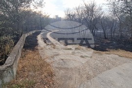 Пловдив - Пожар на Гребната база