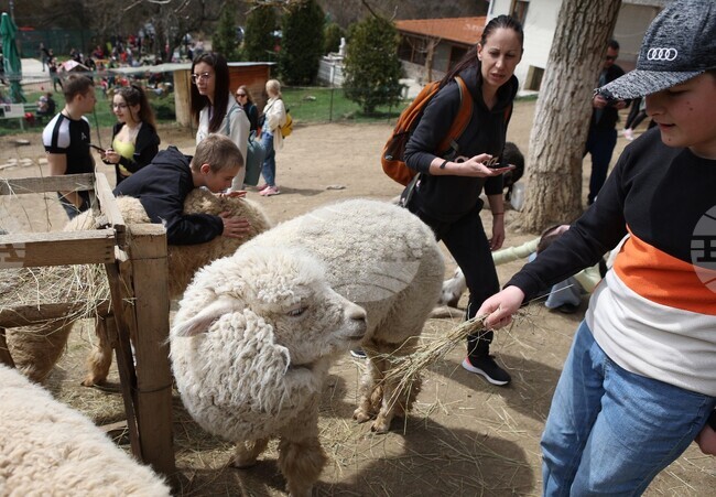  Село Лесковец – зоокът 