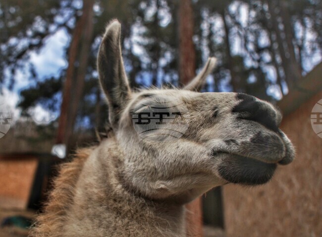 The Weather on July 10