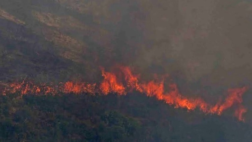 Bulgarian Firefighters Sent to Corfu