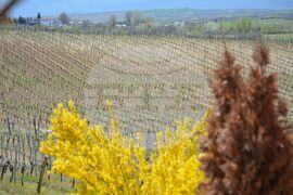 Мелник – филм – вино