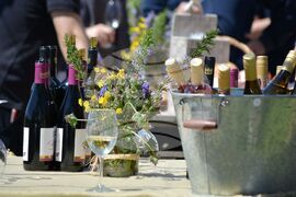 Мелник – филм – вино