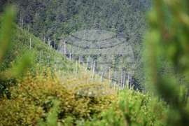 Разлог - Бетоловото - възпоменателна церемония