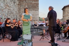 Видин - Дунавски вълни - фестивал 