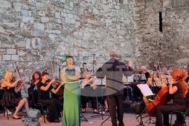 Видин - Дунавски вълни - фестивал 