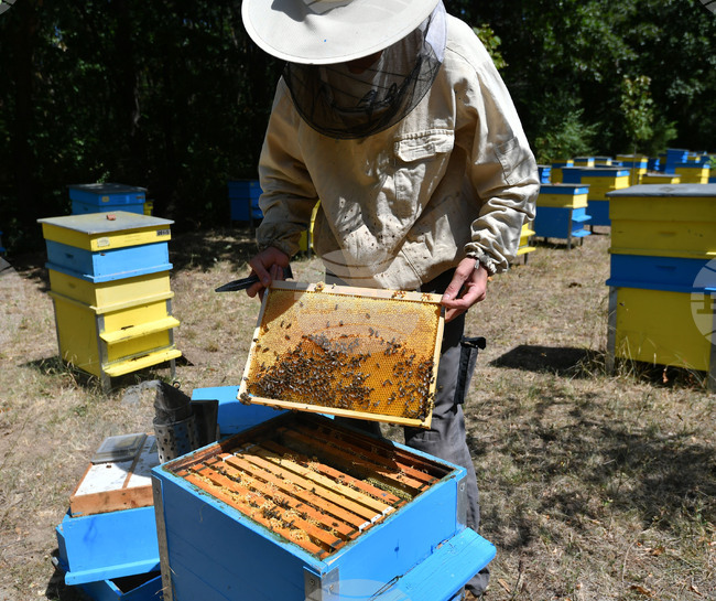 Bulgarian Consumer Group Welcomes New EU Honey Origin Labelling Rules