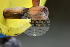 Завет - пчелин