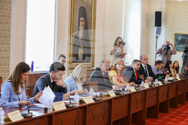 Парламент - Комисия по конституционни въпроси