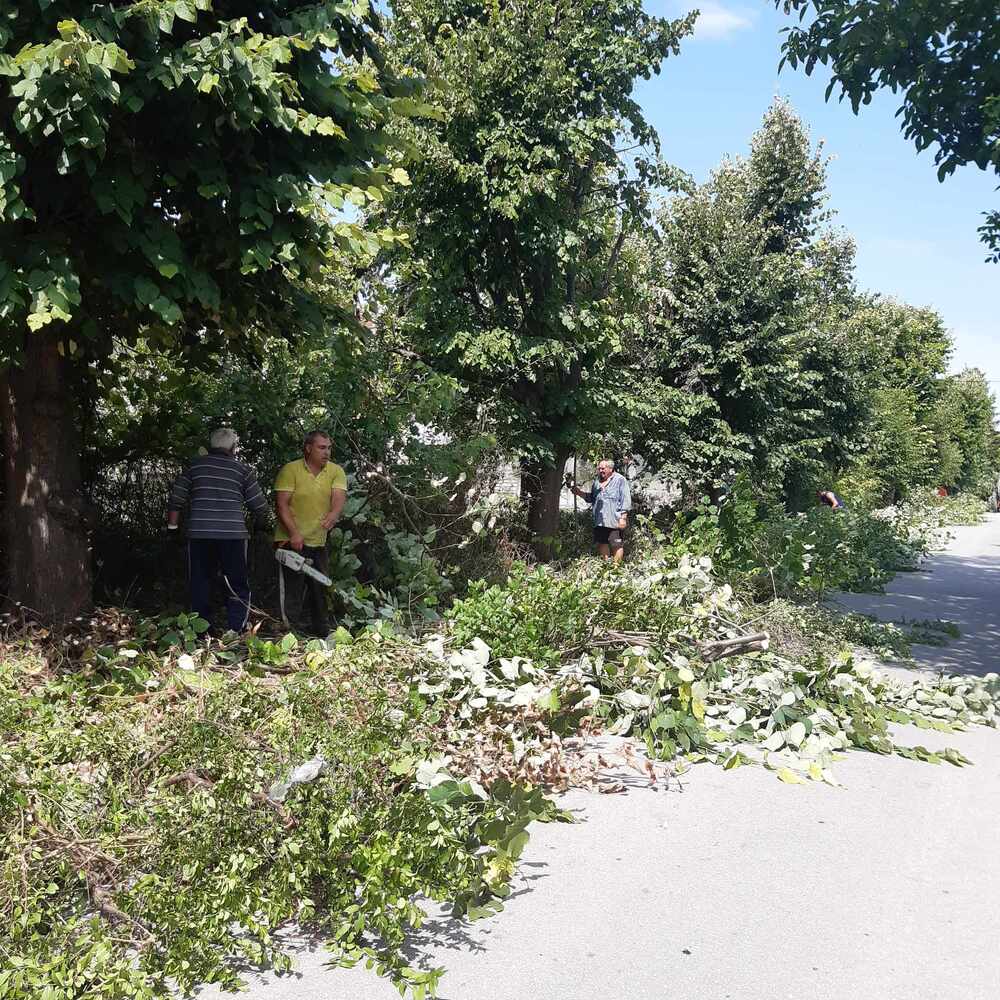 Община Ловеч: Доброволци в ловешкото село Александрово почистват улици