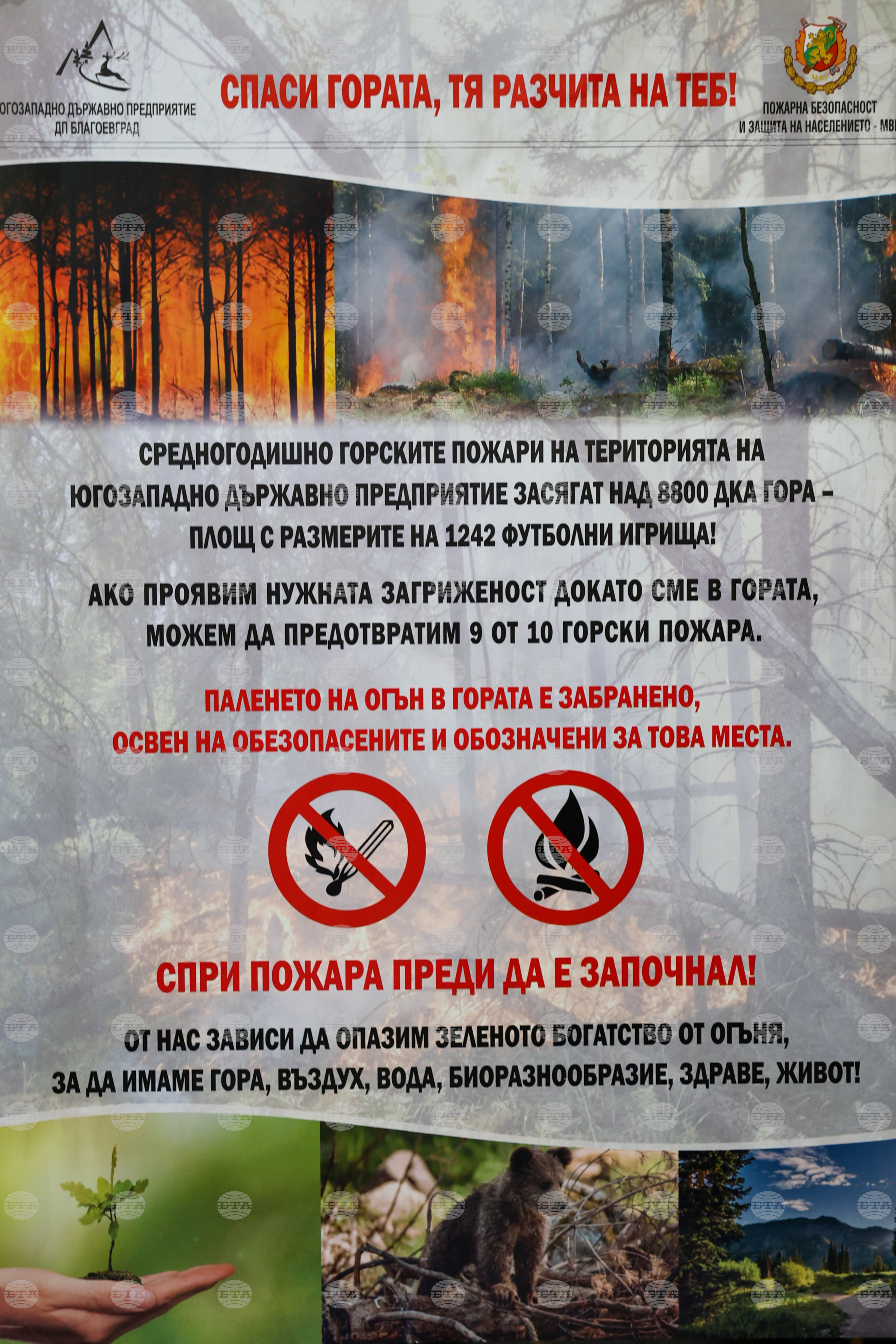 Благоевград - наблюдателни кули - пожари