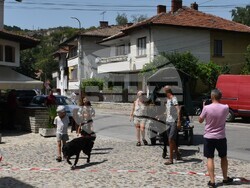 Снимка: Община Ловеч