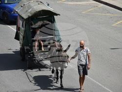 Снимка: Община Ловеч