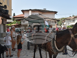 Снимка: Община Ловеч