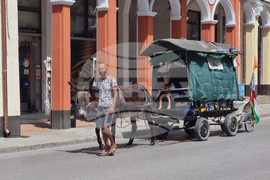Ловеч - семейство - пътешествие с каруца