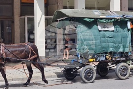 Ловеч - семейство - пътешествие с каруца