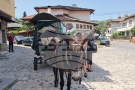 Ловеч - семейство - пътешествие с каруца