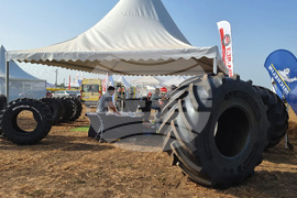 Добрич - „Ден на полето“ - изложение