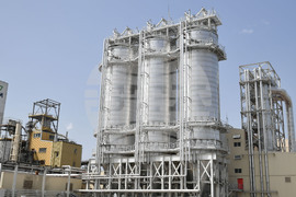 Разград - "Амилум" - посещение