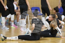 Волейбол - мъже - национален отбор - тренировка