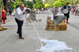Разград - „Панаир на киселото мляко и Фестивал на народните традиции и художествени занаяти“