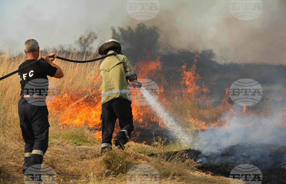 600-Plus Fire Trucks, Dozens of Firefighting Equipment Units in Operation - Council of Ministers' Report