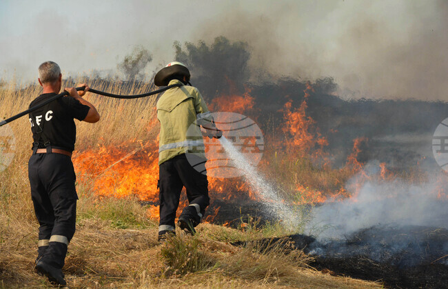 600-Plus Fire Trucks, Dozens of Firefighting Equipment Units in Operation - Council of Ministers' Report
