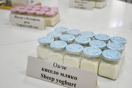 Разград - производствена база „Селур"