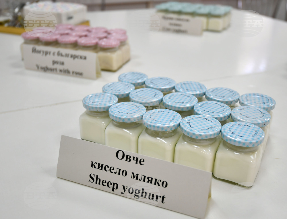 Разград - производствена база „Селур"