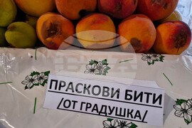 Село Гавраилово - „Златна праскова" - празник