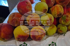 Село Гавраилово - „Златна праскова" - празник