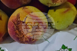 Село Гавраилово - „Златна праскова" - празник