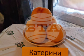 Село Гавраилово - „Златна праскова" - празник