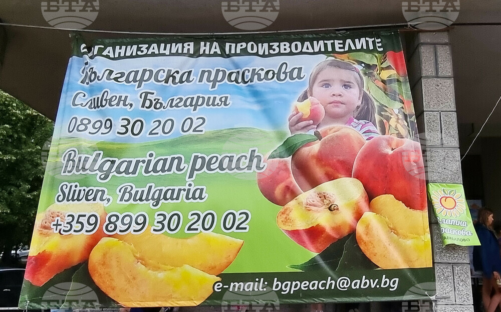 Село Гавраилово - „Златна праскова" - празник