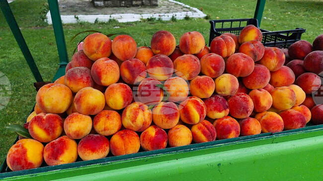 Хърватия и Босна и Херцеговина спряха доставки на праскови от Албания заради опасни вещества