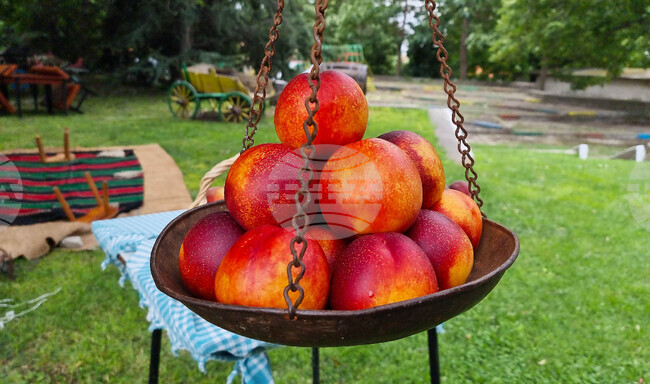 Село Гавраилово - „Златна праскова" - празник