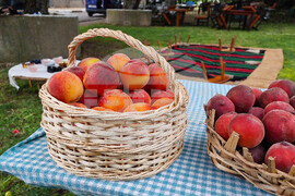 Село Гавраилово - „Златна праскова" - празник