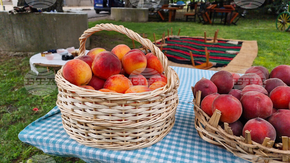 Село Гавраилово - „Златна праскова" - празник
