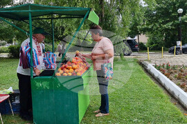 Село Гавраилово - „Златна праскова" - празник