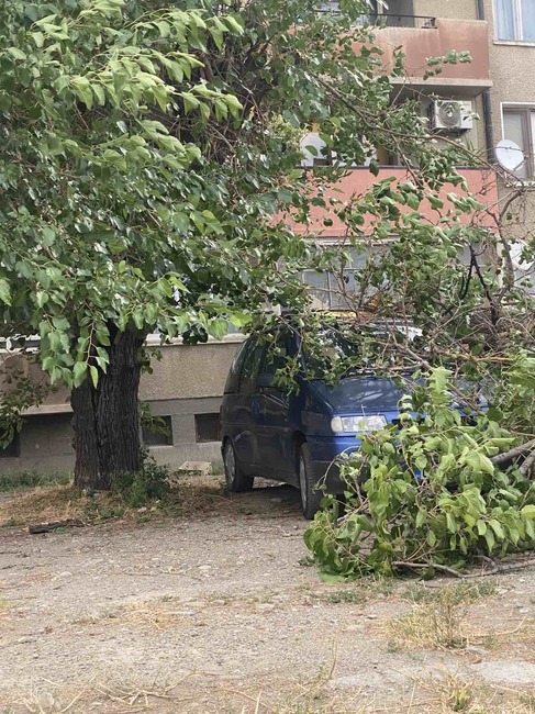 Община Сливен: Отстраняват се пораженията от ураганния вятър и проливния дъжд
