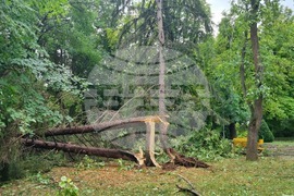 Търговище - буря - щети