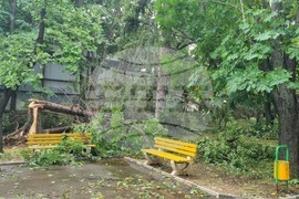 Търговище - буря - щети