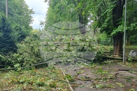 Търговище - буря - щети