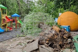 Търговище - буря - щети